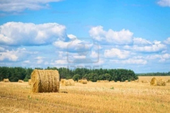 10866115-rural-landscape-haystacks-in-the-field2